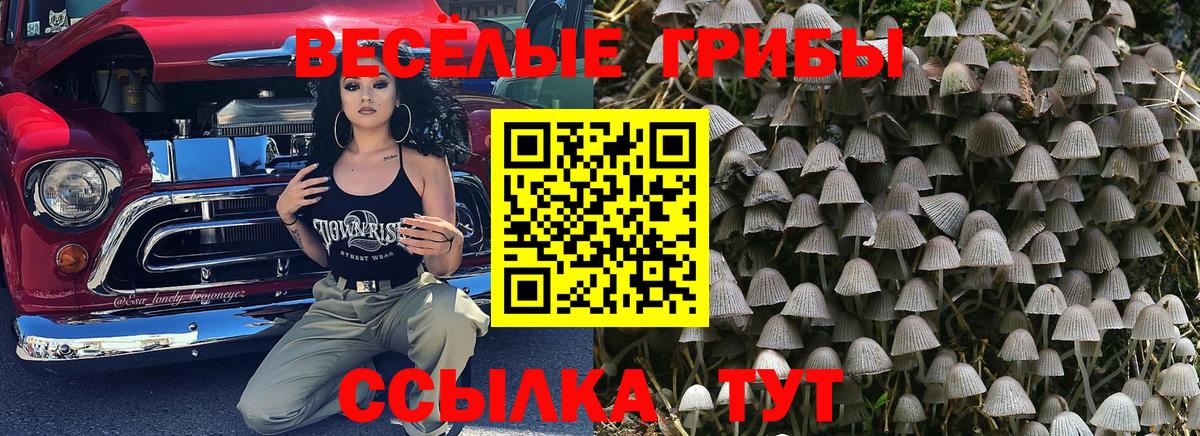 Галлюциногенные грибы GOLDEN TEACHER  Вход с VPN  Каспийск 