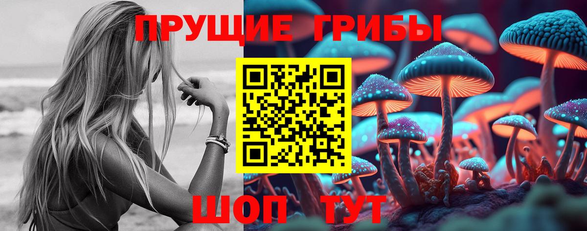 Галлюциногенные грибы Psilocybine cubensis Каспийск